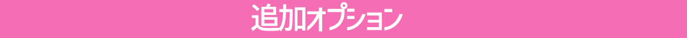 追加オプション